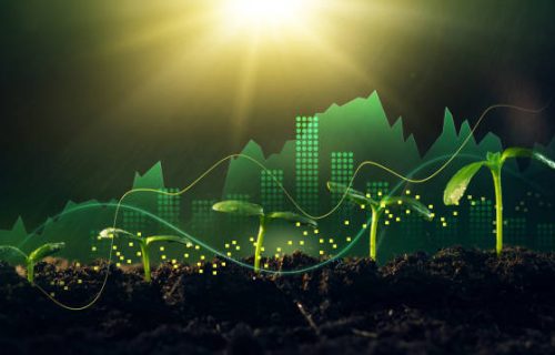 Concept of business growth,profit, development and success. Young plants increase on sunny background.Growing money,finance and investment