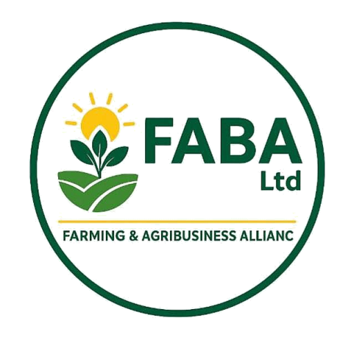 FABA Ltd