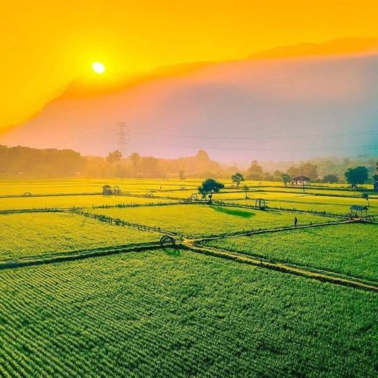 3912c712ede68a5d1ec50b4b60fab190