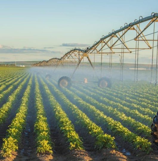 PxukrXU_wjTq2hNJLI46sMOtO3w21kuaCIlkb7UITqNRhvN6BOYuW6LQCu9--b3eLkk39xNHinmvS1n6PqvvvSj8pVRhOA96bGCH4tdfCEq_5eIEjOLrPGz-ElmAHZBPOUumYu1Ee2upmMLG1xSYNz12zEIbD18yrGCa-WyTP7IBU-jIFgzJoVpnodzgmPcV